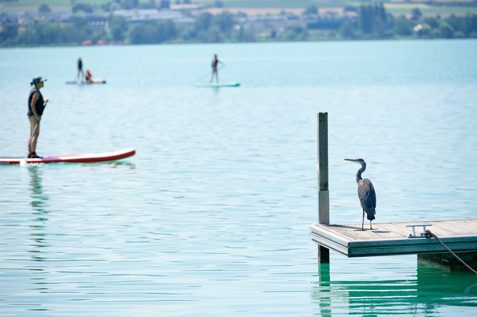 Sonne_Seehotel_Eich_Umgebung_Sommer_9.jpg.jpg
