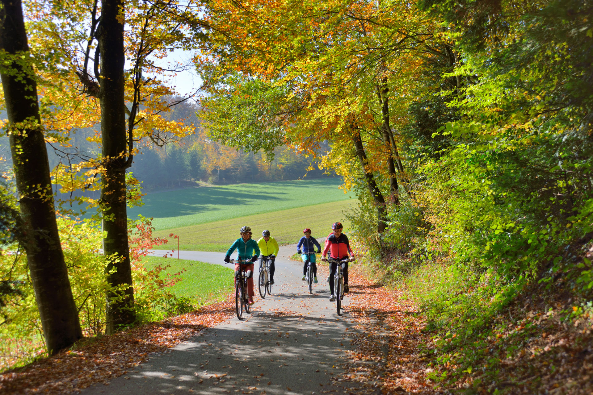 Excursions at Lake Sempach