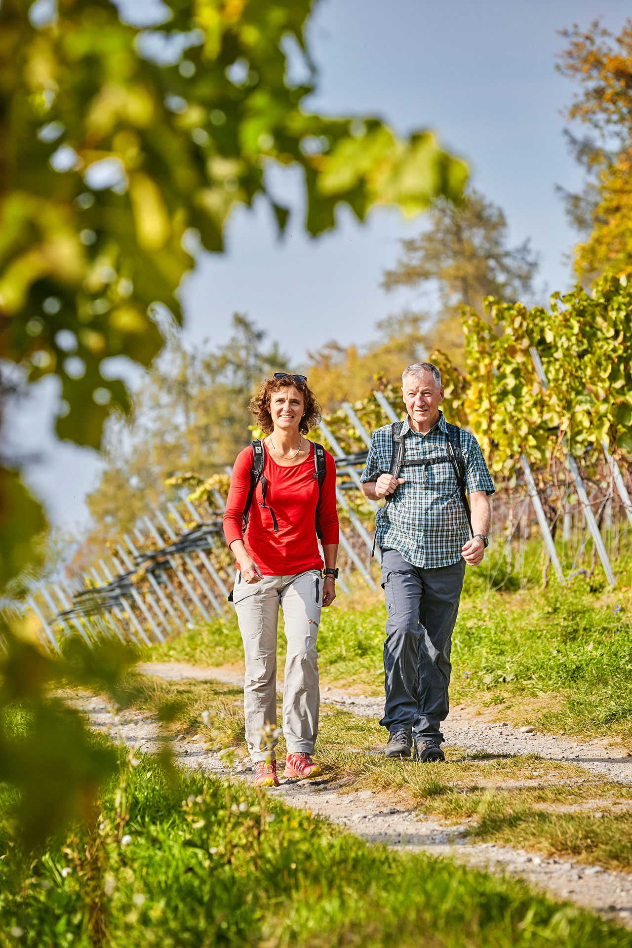Excursions at Lake Sempach